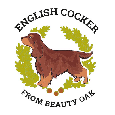 English Cocker From Beauty Oak